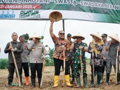 Percepat Ketahanan Pangan, Tanam Jagung Jadikan Komoditas Strategis di Kabupaten Pati