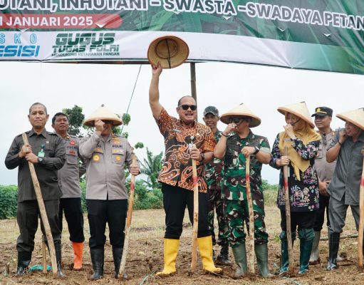 Percepat Ketahanan Pangan, Tanam Jagung Jadikan Komoditas Strategis di Kabupaten Pati